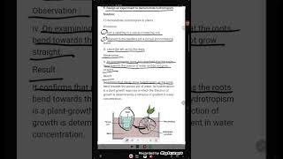 Design an experiment to demonstrate hydrotropism [upl. by Dunkin]