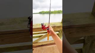 I do this everytime 😅 fisherman bassfishing fishermans fishing penfishingrod sportfishing [upl. by Peacock]