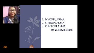 Mycoplasma Phytoplasma Spiroplasma मायकोप्लाज्मा फायटोप्लाज्मा तथा स्पाइरोप्लाज्मा [upl. by Alis]