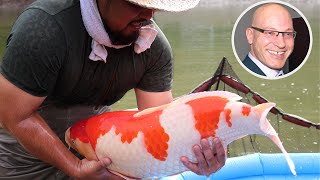 Growing your Koi Fast and Healthy How to choose the best Koi Food part 1 [upl. by Ralston]