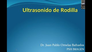 3  4 Ultrasonido de Rodilla Anatomía y Patología  Dr Ornelas [upl. by Ajram373]