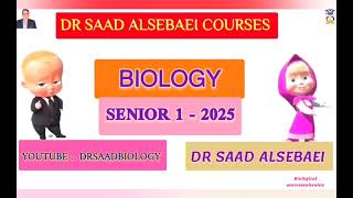 Biological macromolecules  biology senior 1  imitative feature in biology [upl. by Elimaj]