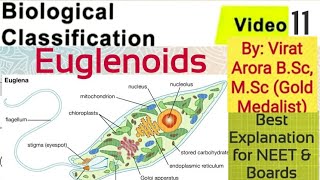 Name the connecting link between plants and animalsEuglenawhat is pelliclewhat is pyrenoid body [upl. by Joyan839]