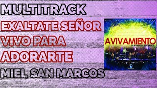 Multitrack 《EXALTATE SEÑOR  VIVO PARA ADORARTE》 Miel San Marcos [upl. by Chiquita]