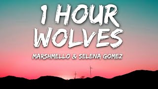 Selena Gomez Marshmello  Wolves Lyrics 🎵1 Hour [upl. by Matilde]