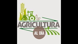 Agricultura al Día  2 de Febrero 2018 [upl. by Sadonia]