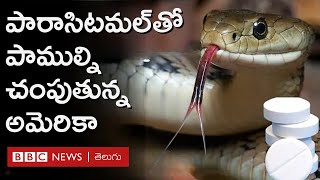 Paracetamol హెలికాప్టర్ల నుంచి పారాసిటమల్ జారవిడుస్తూ పాముల్ని చంపుతున్న అమెరికా Repost [upl. by Odnam894]