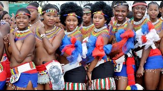 Zulu reed Dance  Beautiful reeddance [upl. by Acimad]