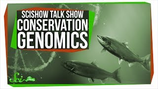 Conservation Genomics and Kizmit the Porcupine SciShow Talk Show [upl. by Hardie]