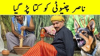 Nasir Chinyoti Ko Aftab Iqbal Ka Kutta Par Gya [upl. by Earla]