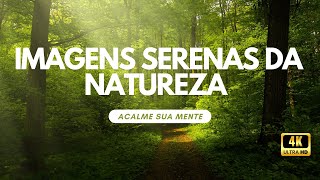 Acalme sua Mente Imagens Serenas da Natureza [upl. by Dian606]