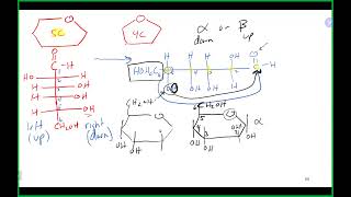 Chem 110 Lecture 112724 Ch 13 [upl. by Wendelin]