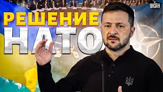 Решение НАТО поразило всех РФ послали с ее хотелками Украину уже ждут мощное пополнение Альянса [upl. by Stelle]