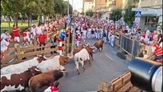 Primer encierro Fiesta de Tudela 2024 [upl. by Eirruc]