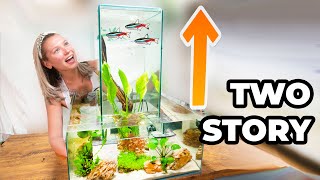 How To Make A Multi Level FISH PENTHOUSE [upl. by Ochs]