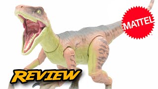 Amber Collection Velociraptor Echo  Jurassic World Amber Collection  Mattel Figure Review [upl. by Ocko615]