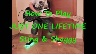 Sting amp Shaggy  Just One Lifetime HOW TO PLAY BASS ALONG BACKING TRACK [upl. by Ivzt]