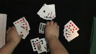 Euchre for Beginners [upl. by Wawro535]