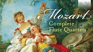 Mozarts Symphony no 40  1st movement [upl. by Shaum369]