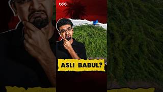 Asli babul kaunsa hai [upl. by Alistair]