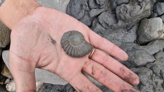 DJ Fossils Charmouth to Golden Cap [upl. by Serle]