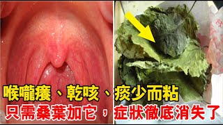 喉嚨癢、乾咳、痰少而粘！只需要桑葉加它，症狀消失了！咽癢、咳嗽、痰治愈了！ [upl. by Yraek]