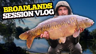 Spring Carp Fishing Session At Broadlands [upl. by Akcired]