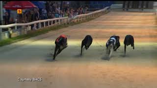 2017 CLASSIC FINAL  DROOPYS COUNTRY [upl. by Linder950]