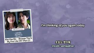 Han Hae Bin 해빈  Everyday Because This Is My First Life OST English subs  Rom  Hangul [upl. by Yniatirb]