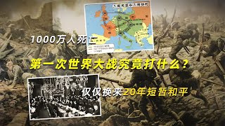 第一次世界大戰究竟打什么？1000萬人死亡，僅僅換來20年短暫和平 學歷史知識 學歷史 知識 歷史 外星人 [upl. by Alimaj128]