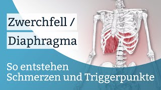 Zwerchfell  Diaphragma Schmerzen Triggerpunkte und deren Aktivierung [upl. by Anaitat]