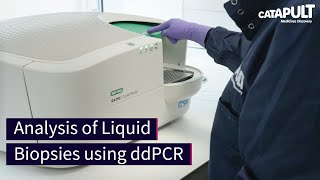 Analysis of Liquid Biopsies using ddPCR [upl. by Yliram]