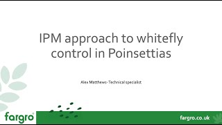 IPM approach to whitefly control in Poinsettias [upl. by Saerdna]