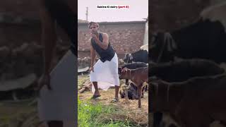 Gas aapke bhainsa ka dudh pasand hai video ko subscribe kijiye [upl. by Hallerson316]