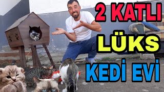 2 KATLI LÜKS KEDİ EVİ ALDIM AKŞAM İŞLER2 YILLIK BALIK [upl. by Airotcivairam]