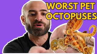 5 Worst Octopuses To Keep As Pets [upl. by Nailliw]