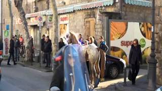 Cavallo impazzito a SantAgnello [upl. by Bumgardner196]