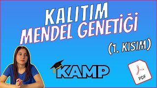 MENDEL GENETİĞİ FULL TEKRAR TYT 2025 [upl. by Yellat]