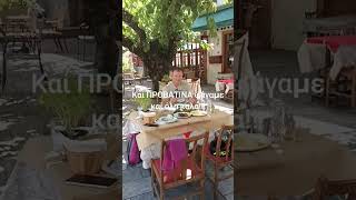 Προβατίνα Κώτσουλας kotsoulas food livebbq live bbq chicken parnassos taverna grill meat [upl. by Tammie]