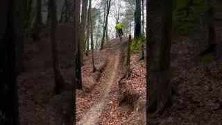 MTB  Puddletown Step up [upl. by Enaxor]