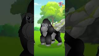 தமிழ் குழந்தைகள் பாடல்  Jungle Animals Song  Tamil Kids Song  tamilrhymes [upl. by Imyaj]