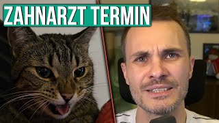 Katze muss zum Arzt und braucht einen Termin [upl. by Marni]