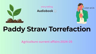 Paddy Straw Torrefaction  Agriculture current affairs 202425  Audiobook 🎧 [upl. by Piscatelli]