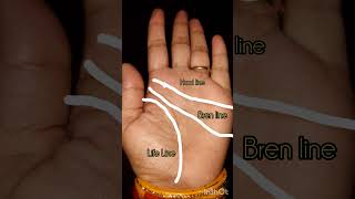 Lambi aayu Sign in Hand palmistry astrology luckysign [upl. by Lindley]