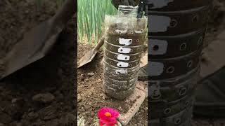 Amazing planting portulaca flower in pot plastic bottle very beautiful garden horticulture nature [upl. by Eiliah]