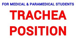 POSITION OF TRACHEA  CLINICAL LAB  PHYSIOLOGY [upl. by Pogah]