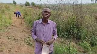 Visite dune concession à Sona Bata et limportance dentretenir vos arbres après avoir plantés rdc [upl. by Jeddy]