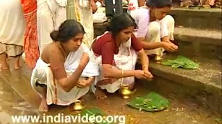 Karkidaka Vavu Bali in Aluva Manappuram  Hindu ritual for remembering ancestors [upl. by Atilam]