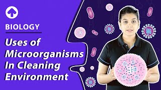 Uses of Microorganisms in Cleaning Environment  Biology [upl. by Port]