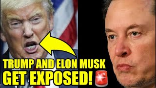 The Washington Post Just DROPPED A BOMBSHELL On Musk amp Trump [upl. by Divd]